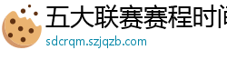 五大联赛赛程时间表2024年